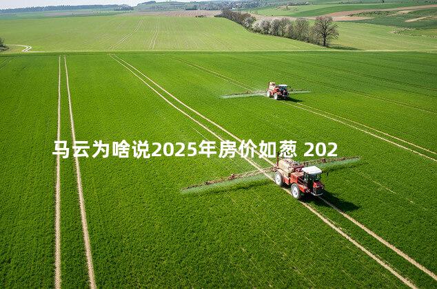 马云为啥说2025年房价如葱 2022年房价会大幅度下跌吗